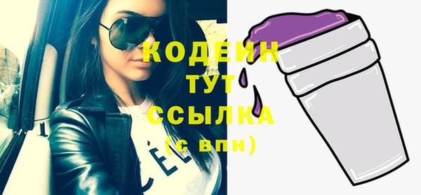 2c-b Бородино
