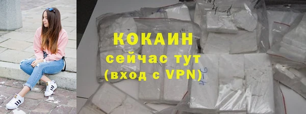 2c-b Бородино