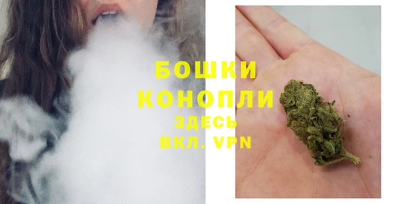 2c-b Бородино