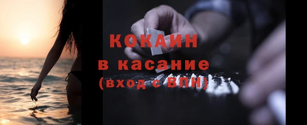 шишки Снежинск