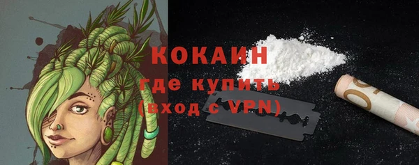 2c-b Бородино