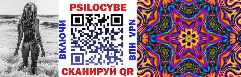 Галлюциногенные грибы GOLDEN TEACHER купить цена Топки